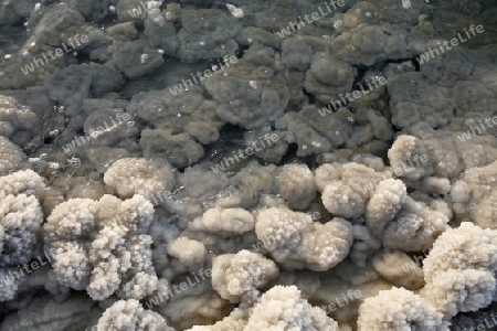 The coast with natural salt of the death sea neat the Village of Mazraa in Jordan in the middle east.