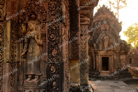 The Tempel Ruin of  Banteay Srei about 32 Km north of the Temple City of Angkor near the City of Siem Riep in the west of Cambodia.