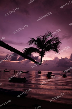 Der Strand  von Hat Sai Ri auf der Insel Ko Tao im Golf von Thailand im Suedwesten von Thailand in Suedostasien.  