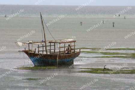 fishing boat