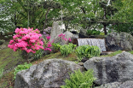 Wasserfall im Japanischen Garten von Hasselt