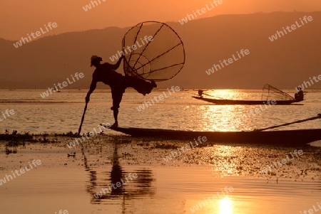 Fishermen at sunset in the Landscape on the Inle Lake in the Shan State in the east of Myanmar in Southeastasia.