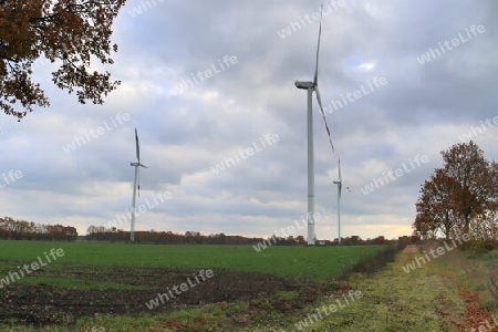 Panoramic view on alternative energy wind mills in a windpark