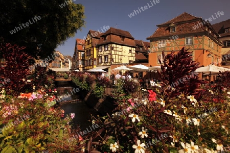 the old city of Colmar in  the province of Alsace in France in Europe