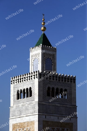 Afrika, Tunesien, Tunis, Altstadt, Medina, Souq, Altstadt,
