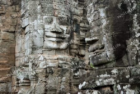 Stone Faces the Tempel Ruin of Angkor Thom in the Temple City of Angkor near the City of Siem Riep in the west of Cambodia.