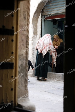 Afrika, Nordafrika, Tunesien, Tunis
Eine Gasse in der Medina mit dem Markt oder Souq in der Altstadt der Tunesischen Hauptstadt Tunis.


