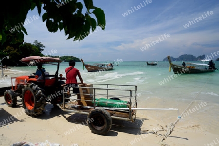 A Beach on the Island of Ko PhiPhi on Ko Phi Phi Island outside of the City of Krabi on the Andaman Sea in the south of Thailand. 