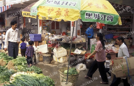 a market in the city of Shenzhen north of Hongkong in the province of Guangdong in china in east asia. 