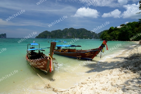 A Beach on the Island of Ko PhiPhi on Ko Phi Phi Island outside of the City of Krabi on the Andaman Sea in the south of Thailand. 