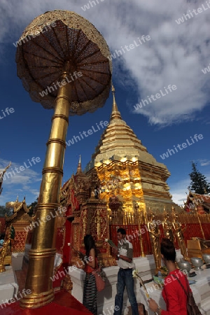 Der Chedi der Tempel Anlage des Wat Phra That Doi Suthep bei Chiang Mai in der Provinz Chiang Mai im Norden von Thailand in Suedostasien.