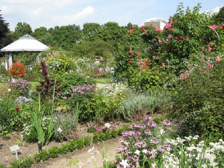 Hamburg, Sommer in Planten un Blomen