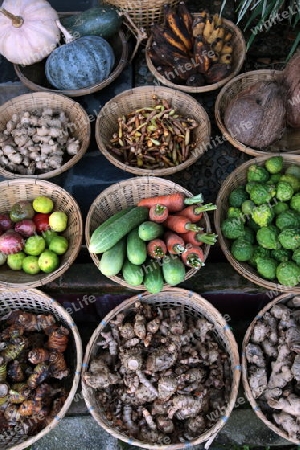 Menschen auf dem Grossen Lebensmittelmarkt von Talat Warorot in Chiang Mai im Norden von Thailand.