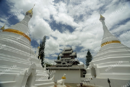 Der Tempel Wat Phra That Doi Kong Mu ueber dem Dorf Mae Hong Son im norden von Thailand in Suedostasien.