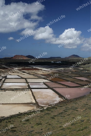 The Salinas in the Laguna of El Charco on the Island of Lanzarote on the Canary Islands of Spain in the Atlantic Ocean.