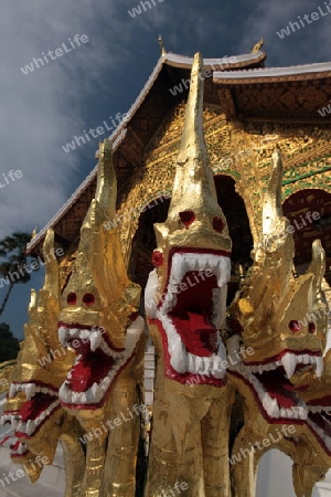 Der Koenigspalast in der Altstadt von Luang Prabang in Zentrallaos von Laos in Suedostasien