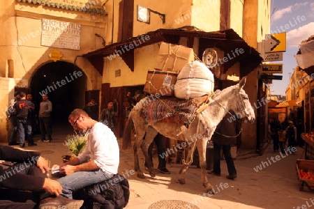 a smal Marketroad in the Medina of old City in the historical Town of Fes in Morocco in north Africa.