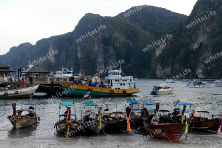 A Beach in the Town of Ko PhiPhi on Ko Phi Phi Island outside of  the City of Krabi on the Andaman Sea in the south of Thailand. 