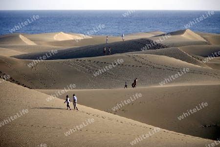 the Sanddunes at the Playa des Ingles in town of Maspalomas on the Canary Island of Spain in the Atlantic ocean.