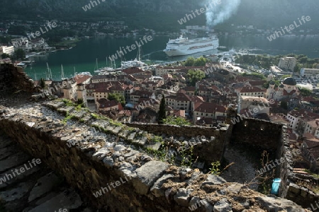 Europa, Osteuropa, Balkan. Montenegro, Mittelmeer, Adria, Kotor, Bucht von Kotor, Bucht, Altstadt, Dorf,   