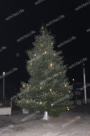 Christbaum