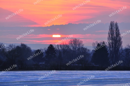 Morgendlicher Folienacker