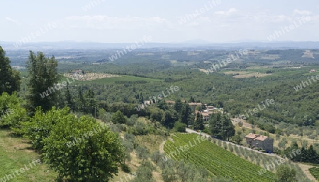 scenery around Gaiole near Castle of Brolio in the Chianti region of Tuscany in Central Italy