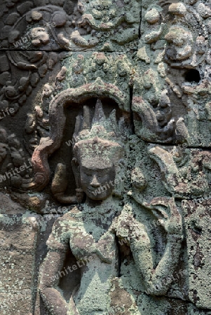 The Temple of  Preah Khan in the Temple City of Angkor near the City of Siem Riep in the west of Cambodia.