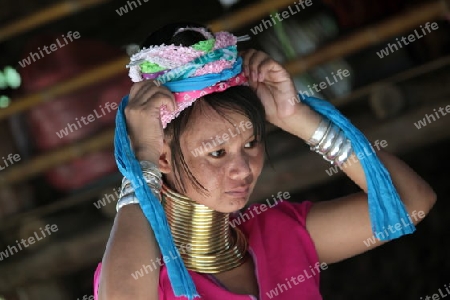 Eine Traditionell gekleidete Langhals Frau eines Paudang Stammes aus Burma lebt in einem Dorf noerdlich von Chiang Mai in Nord Thailand.