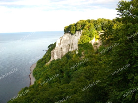 Kreidefelsen auf R?gen