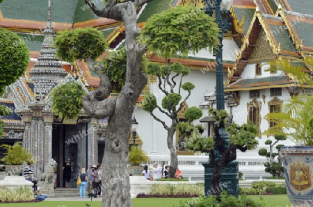 Die Tempelanlage des Wat Phra Kaew in der Hauptstadt Bangkok von Thailand in Suedostasien.