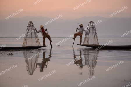 Fishermen at sunrise in the Landscape on the Inle Lake in the Shan State in the east of Myanmar in Southeastasia.