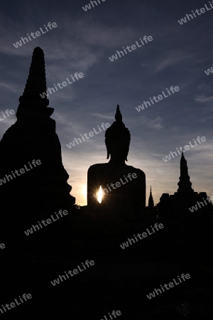 Eine Buddha Figur  im Wat Mahathat Tempel in der Tempelanlage von Alt-Sukhothai in der Provinz Sukhothai im Norden von Thailand in Suedostasien.