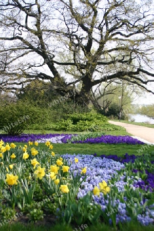 Hier wird es im Frühling bunt