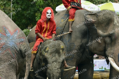 Das Songkran Fest oder Wasserfest zum Thailaendischen Neujahr ist im vollem Gange in Ayutthaya noerdlich von Bangkok in Thailand in Suedostasien.  