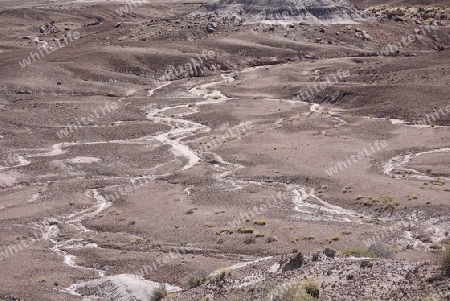 Petrified Forrest Naturpark USA 5