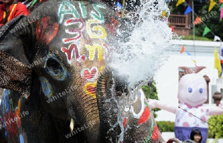 Das Songkran Fest oder Wasserfest zum Thailaendischen Neujahr ist im vollem Gange in Ayutthaya noerdlich von Bangkok in Thailand in Suedostasien.  