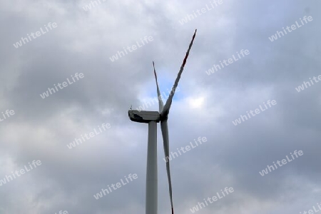 Panoramic view on alternative energy wind mills in a windpark