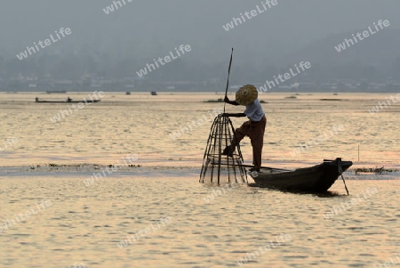 Fishermen at sunrise in the Landscape on the Inle Lake in the Shan State in the east of Myanmar in Southeastasia.