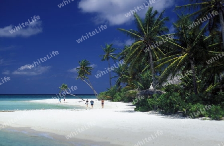 
Der Traumstrand mit Palmen und weissem Sand an der Insel Velavaru im Southmale Atoll auf den Inseln der Malediven im Indischen Ozean.   