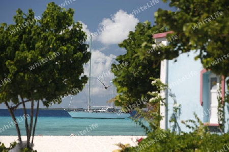 Suedamerika, Karibik, Venezuela, Los Roques,  Ein Segelboot am Strand von Gran Roque auf der Inselgruppe von Los Roques in der Karibik.  