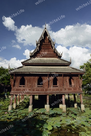 Der Tempel Wat Thung Si Meuang in der Stadt Ubon Ratchathani im nordosten von Thailand in Suedostasien.