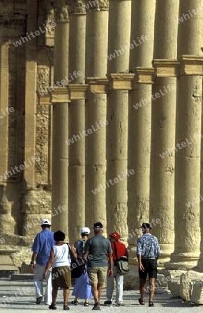 Die Ruinen von Palmyra in der Wueste Faydat in Syrien im Mittleren Osten in Arabien.