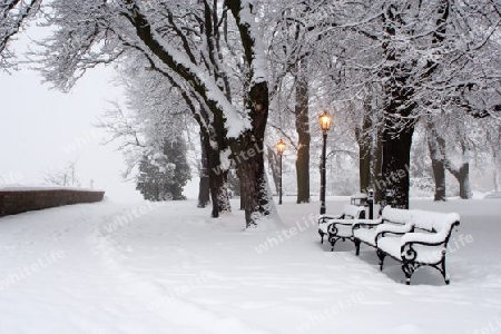 Winter in dem Park - Bratislava