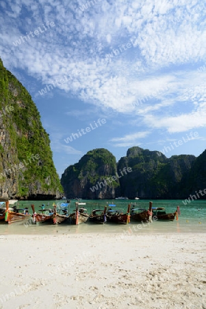 The Maya Beach  near the Ko Phi Phi Island outside of the City of Krabi on the Andaman Sea in the south of Thailand. 