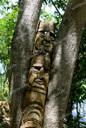 Wood carvin in Forest Hotel in the Town of Ko PhiPhi on Ko Phi Phi Island outside of  the City of Krabi on the Andaman Sea in the south of Thailand. 