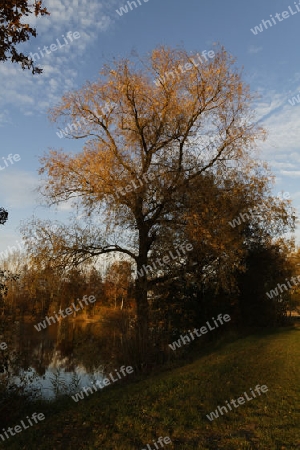 Herbst am See