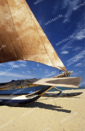 Asien, Indischer Ozean, Sri Lanka,
Ein traditionelles Fischerboot mit Fischern im Kuestendorf Negombo an der Westkueste von Sri Lanka. (URS FLUEELER)






