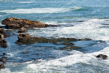 Der Westen Islands, die Klippen der Steilk?ste von Arnastapi auf der S?dseite der Halbinsel Sn?fellsnes