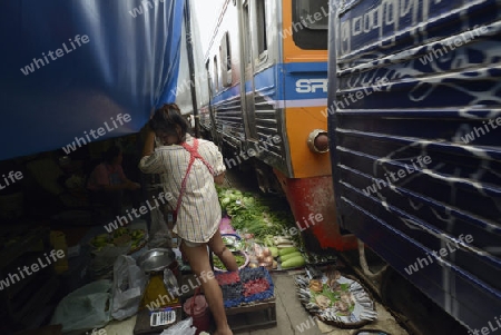 the Maeklong Railway Markt at the Maeklong railway station  near the city of Bangkok in Thailand in Suedostasien.